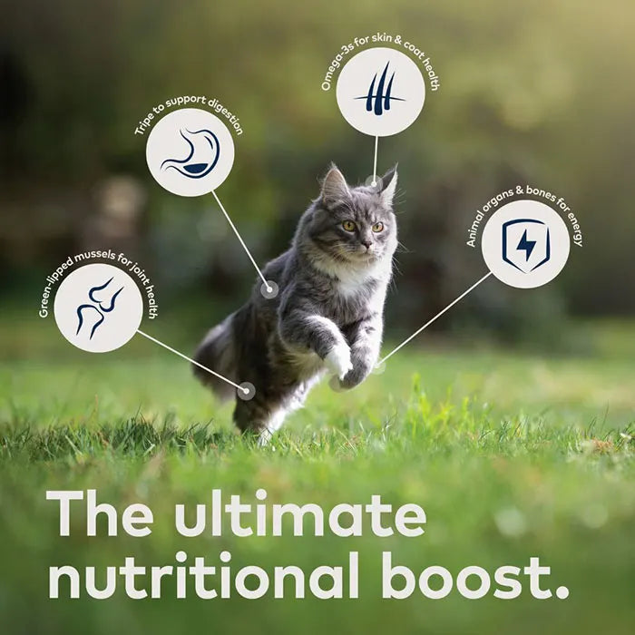 Ziwi Peak Beef Adult Cat Can 85g x 24