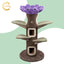 Camily "Sunflower" Climbing Cat Tree