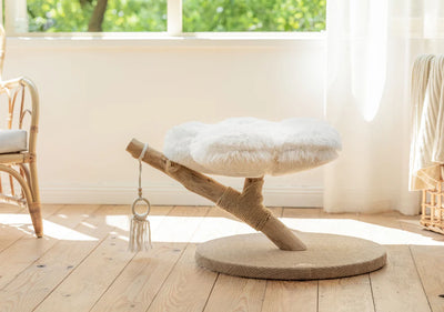 Purrista Natural Wood Cloud Cat Tree (Single-Layer)