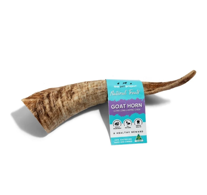 The Pet Project - Natural Whole Australian Goat Horn (Large 15-20cm)