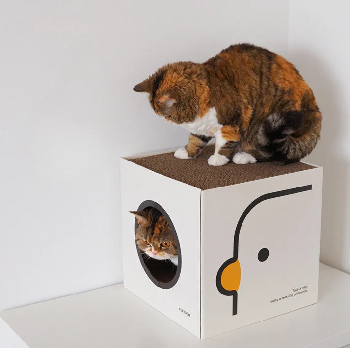 PURROOM Little Chicken Series: Square-Shaped Cat Scratcher House