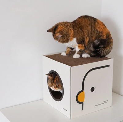 PURROOM Little Chicken Series: Square-Shaped Cat Scratcher House (Arrived at the end of April)