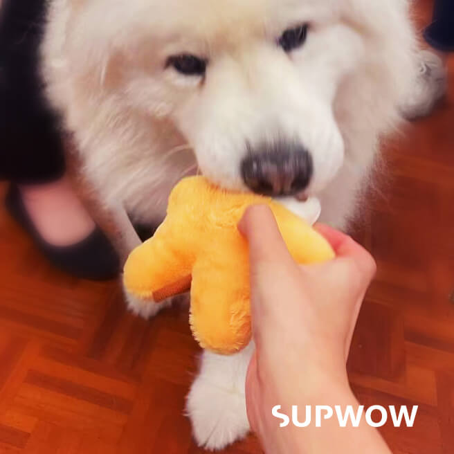 Yeah Family Squeaker Toy - Sunny