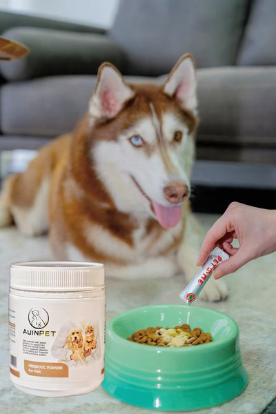 Auinpet Probiotic Powder for Dogs and Cats