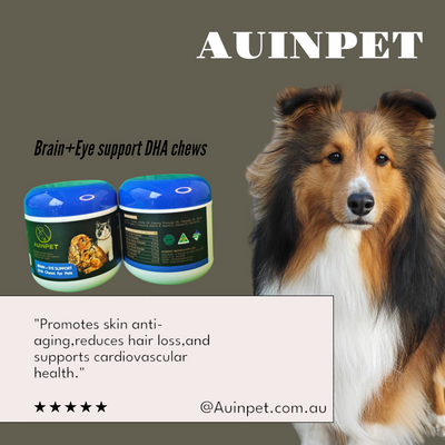 Auinpet Brain + Eye Support DHA Chews for Dogs and Cats