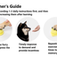Voice Ringer Pet Button Speaking Training