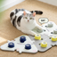 Voice Ringer Pet Button Speaking Training