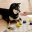 Voice Ringer Pet Button Speaking Training