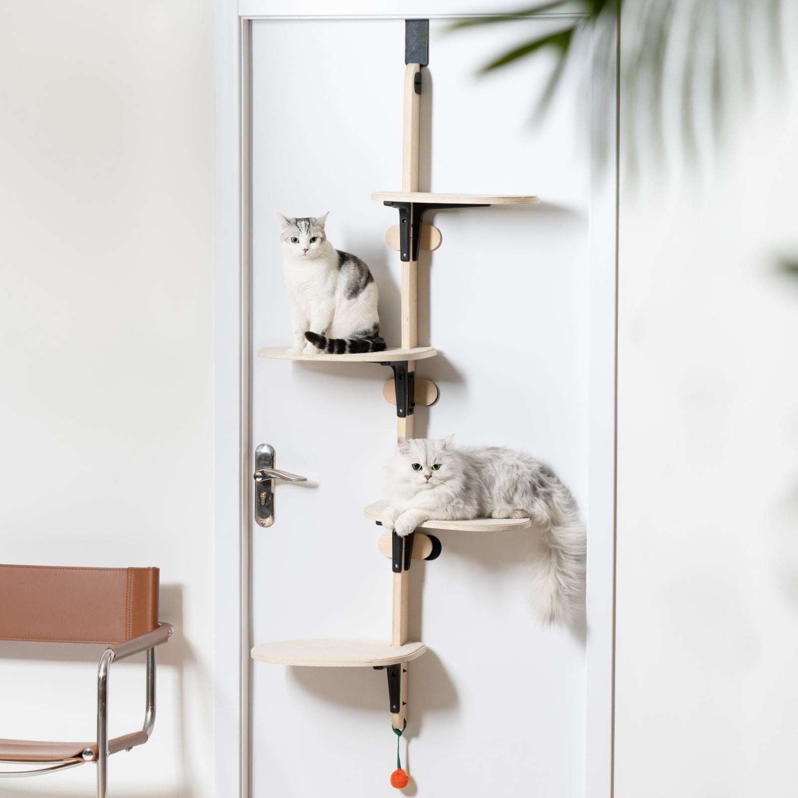 MewooFun Space-Saving Door - Mounted Cat Tree - ChokyoPetStore