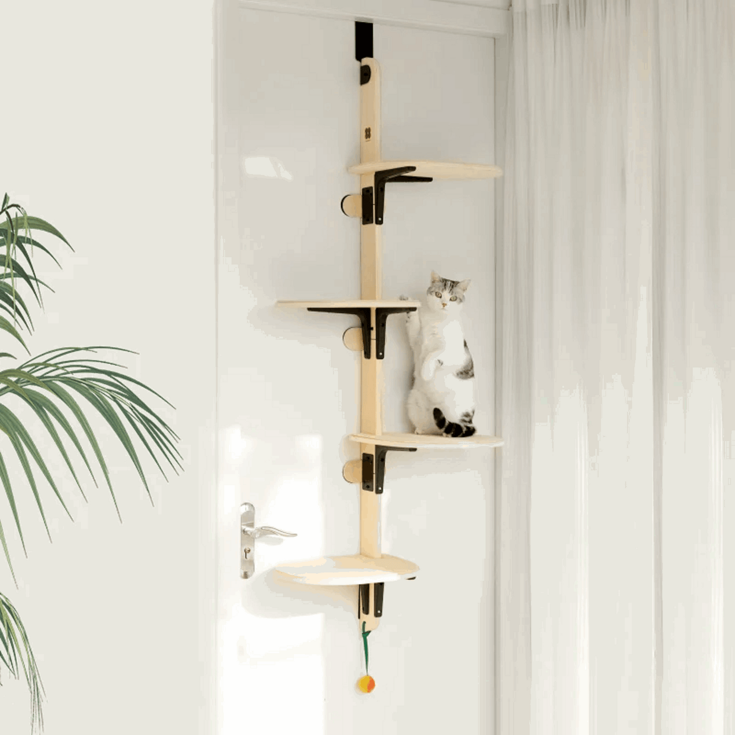 MewooFun Space-Saving Door - Mounted Cat Tree - ChokyoPetStore