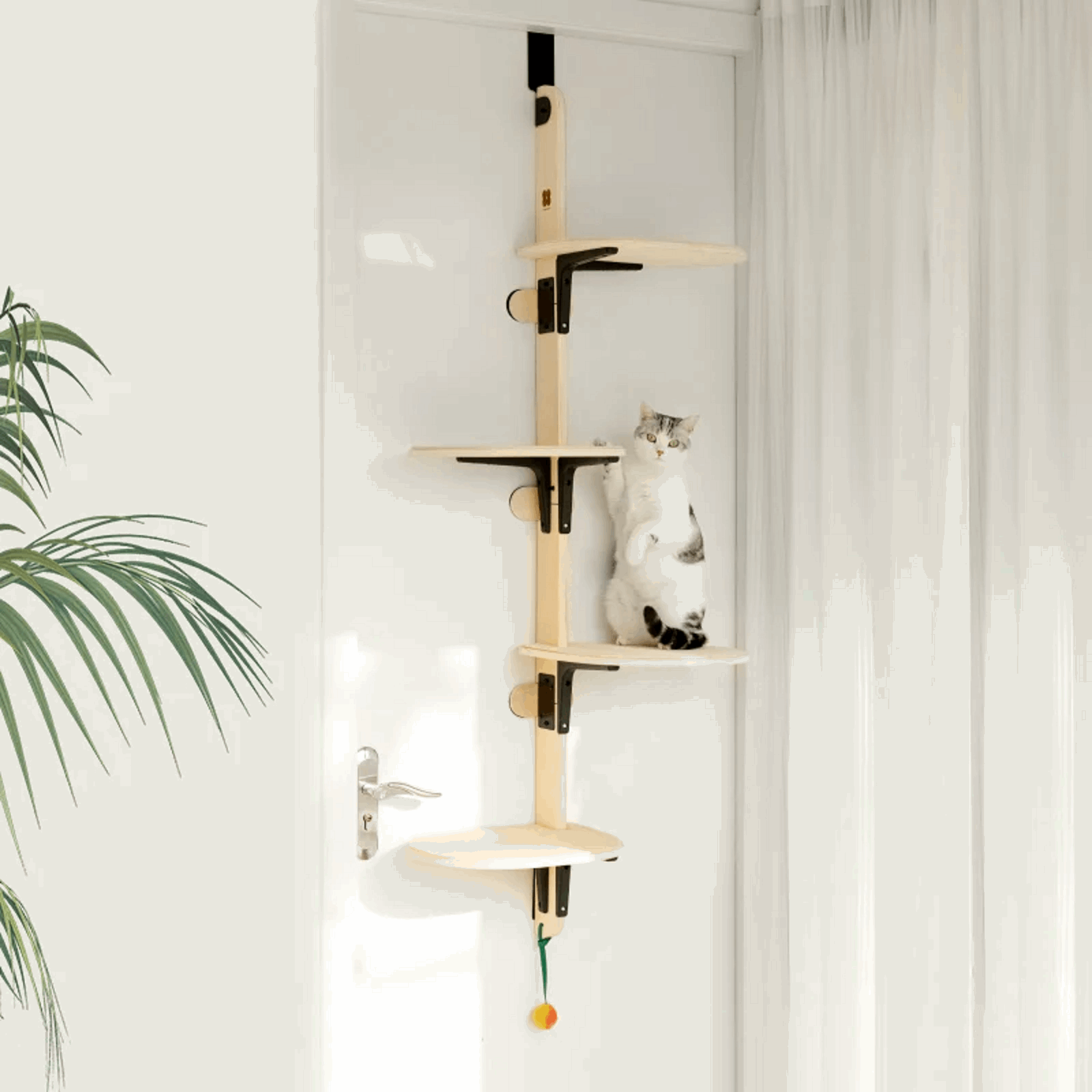 MewooFun Space-Saving Door - Mounted Cat Tree - ChokyoPetStore