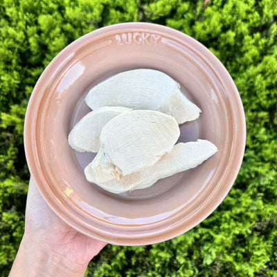 PawDry Premium Real Meat Freeze-Dried Cat Treats – 10 Flavors Sampler Pack (High Protein, Low Fat, No Additives) – Perfect for Picky Eaters, Training Rewards & Snacks