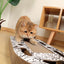 URBANSTYLE Freestyle Cat Scratcher - Black & White - ChokyoPetStore
