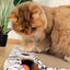 URBANSTYLE Freestyle Cat Scratcher - Black & White - ChokyoPetStore