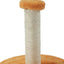 MY FIRST CAT TREE Feather Orange - ChokyoPetStore