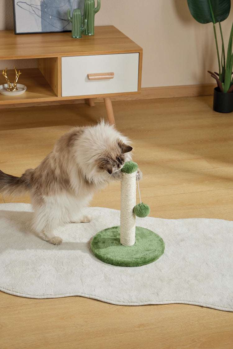 MY FIRST CAT TREE Pompom Green - ChokyoPetStore