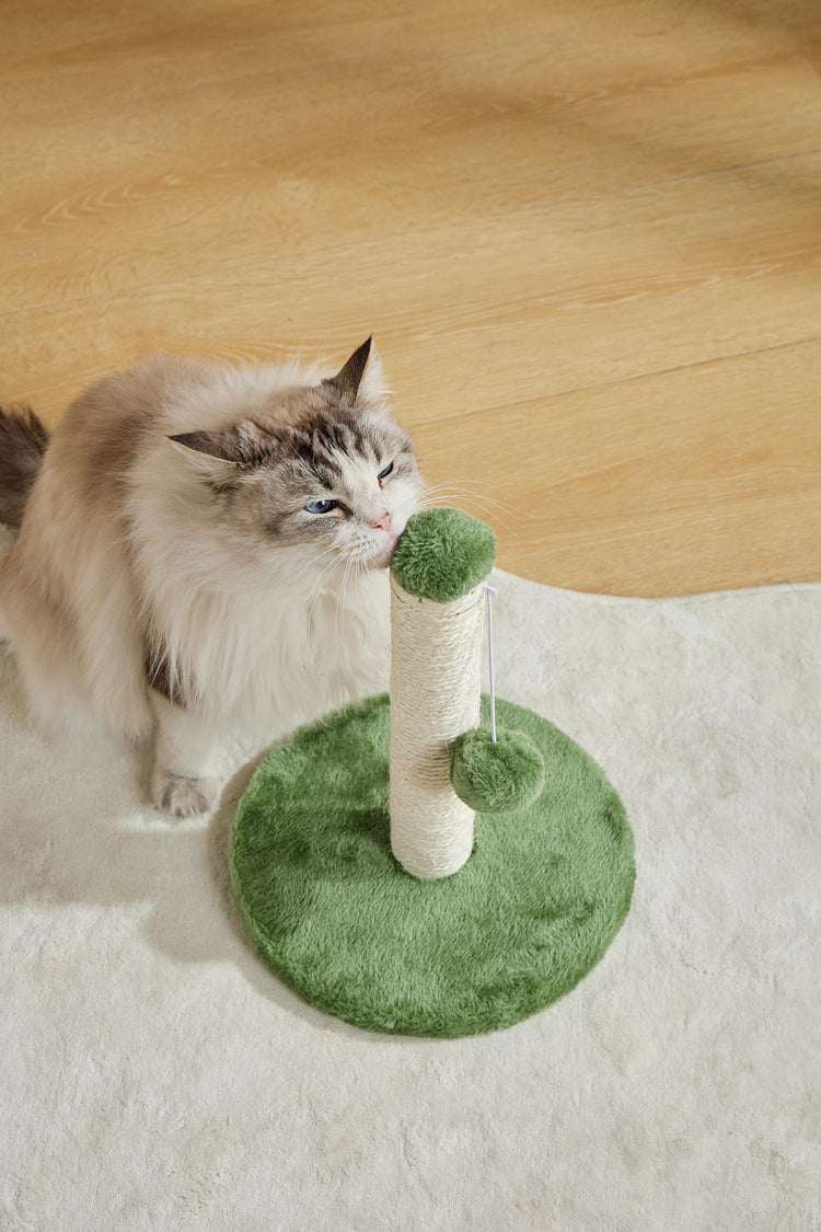 MY FIRST CAT TREE Pompom Green - ChokyoPetStore