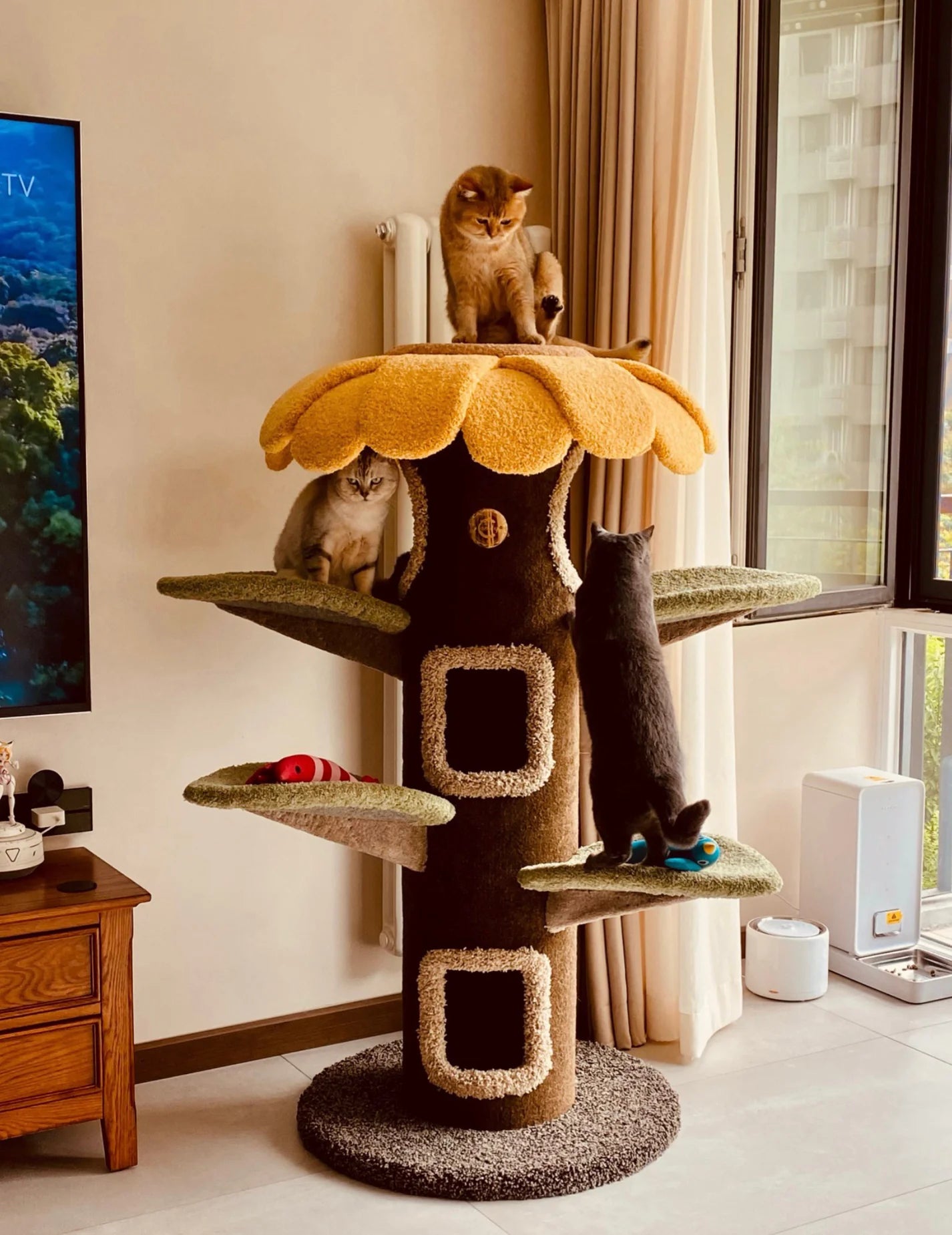 Camily "Sunflower" Climbing Cat Tree