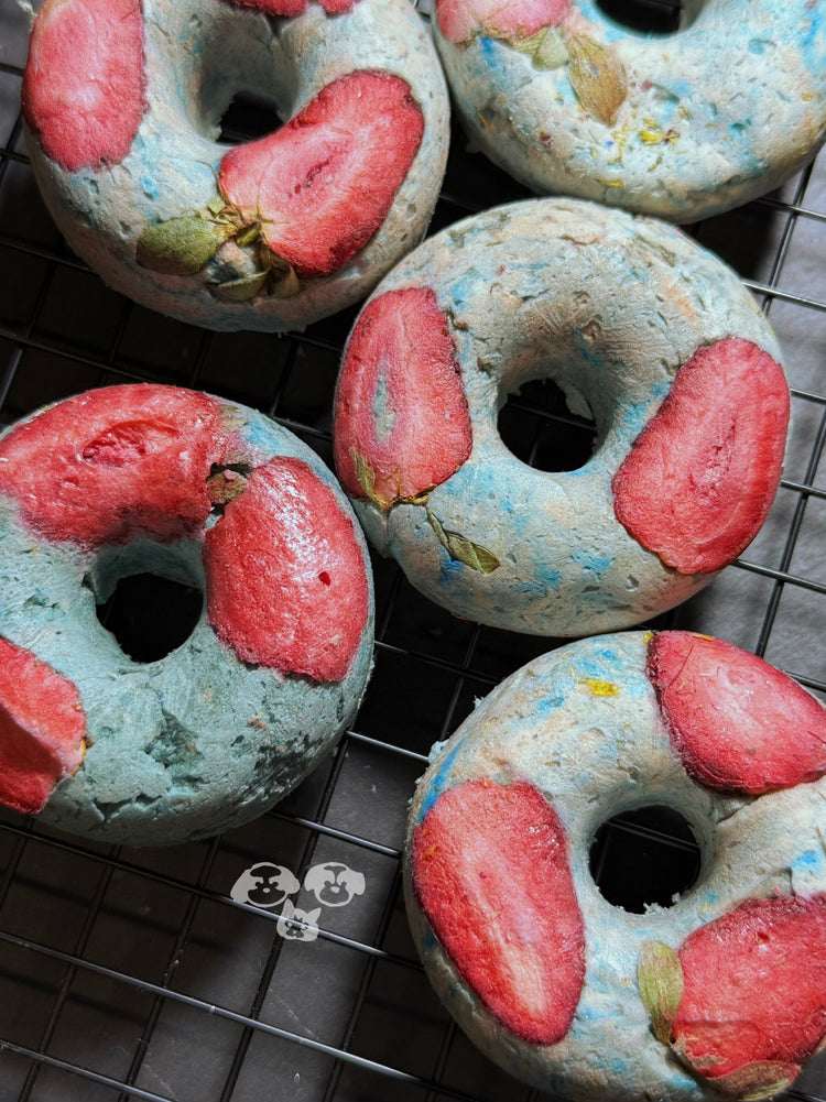 MAYBO Freeze-Dried Blue Donut Magic Box (5 pcs) - ChokyoPetStore