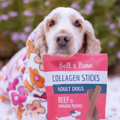 Bell & Bone - Collagen Chew Sticks for Puppies Small Dogs - Beef and Manuka Honey 100g