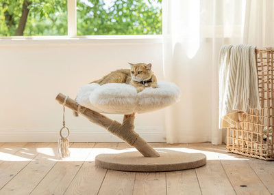 Purrista Natural Wood Cloud Cat Tree (Single-Layer)