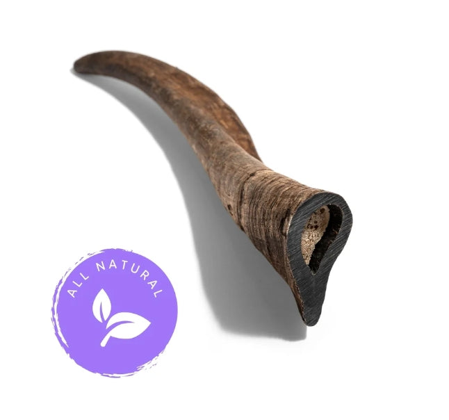 The Pet Project - Natural Whole Australian Goat Horn (Large 15-20cm)