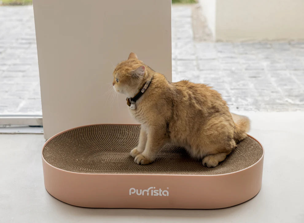 Purrista Cat Scratching Board