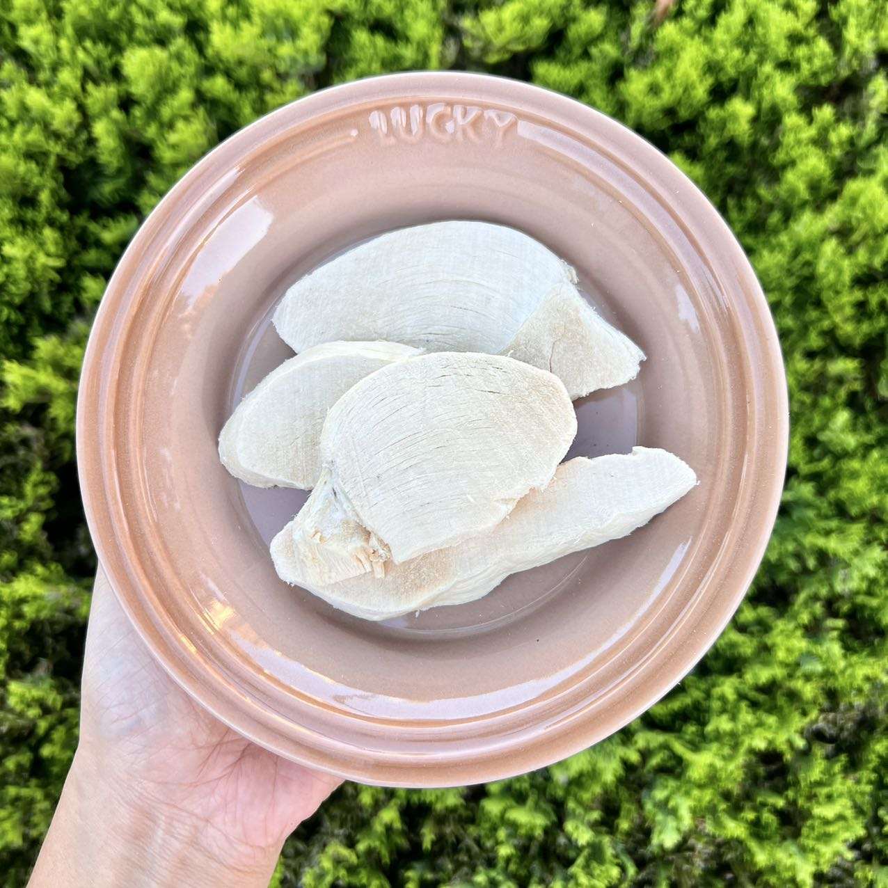 Freeze-Dried Thick Cut Chicken Breast - ChokyoPetStore