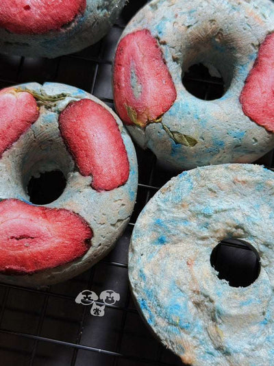 MAYBO Freeze-Dried Blue Donut Magic Box (5 pcs) - ChokyoPetStore