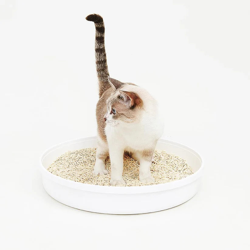 PIDAN Mixed Crushed Bentonite And Tofu Cat Litter 6L/2.4Kg