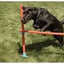 Rosewood Agility Hurdle