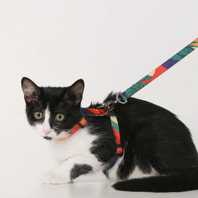 PIDAN Harness &amp; Leash Set - Cats - A2