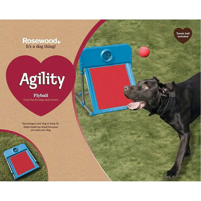 Rosewood Dog Agility Flyball