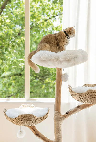 Purrista Natural Wood Basket Cat Tree (Three-Layer)