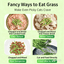 4 Creative Ways to Feed Cat Grass can: Help Your Cat Digest & De-shed Naturally, cat grass seed included - Chokyo Pet