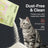 Petshy Cassava Cat Litter 2.5kg