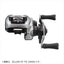 Daiwa 21 Zillion SV TW 1000XHL Baitcasting Reel - ChokyoPetStore