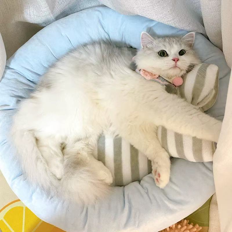 Soft Plush Dog Bed with Bow Pillow | Cozy Round Puppy & Cat Bed | Anti-Anxiety Snuggle Nest for Small Pets