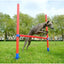 Rosewood Agility Hurdle