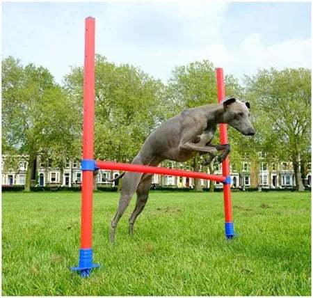 Rosewood Agility Hurdle