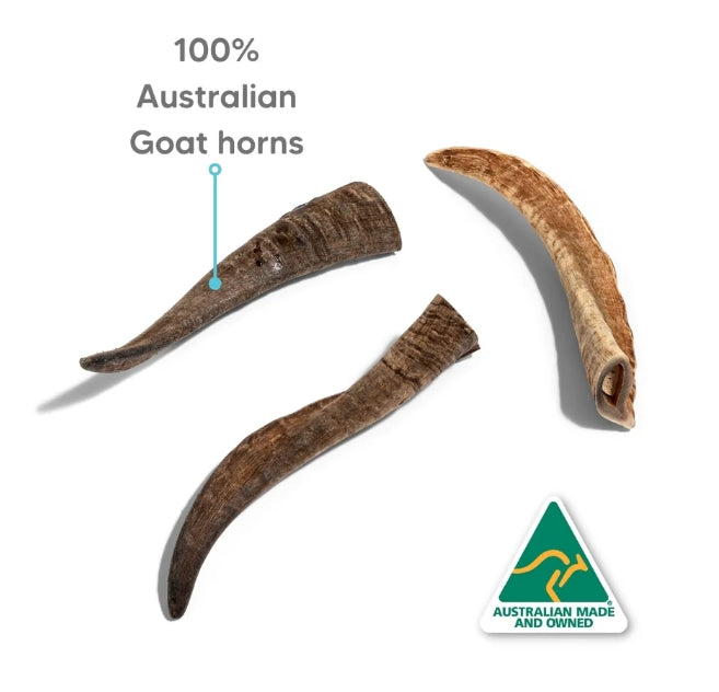 The Pet Project - Natural Whole Australian Goat Horn (Large 15-20cm)