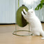 Makesure Multifunctional Cat Scratcher | Sisal Standing Scratching Board