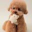 Bite Me Plush Toy - Rabbit/Bear/Penguin