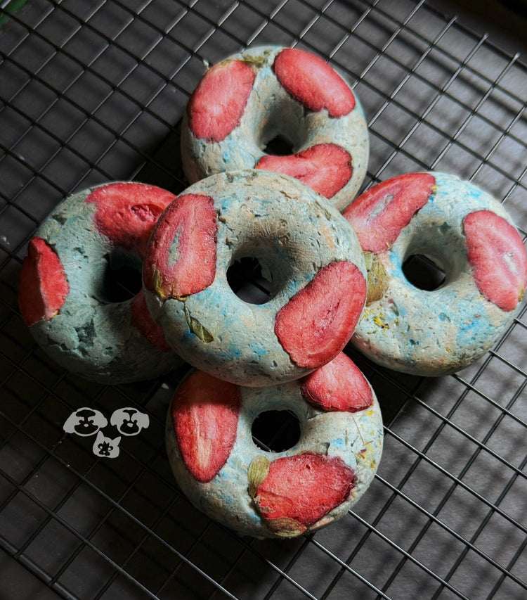 MAYBO Freeze-Dried Blue Donut Magic Box (5 pcs) - ChokyoPetStore