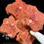 Freeze Dried Alpaca Neck 120G (Limited Supply) - ChokyoPetStore