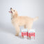 Bell & Bone - Big Puppy Dental Chews - Beef 120g