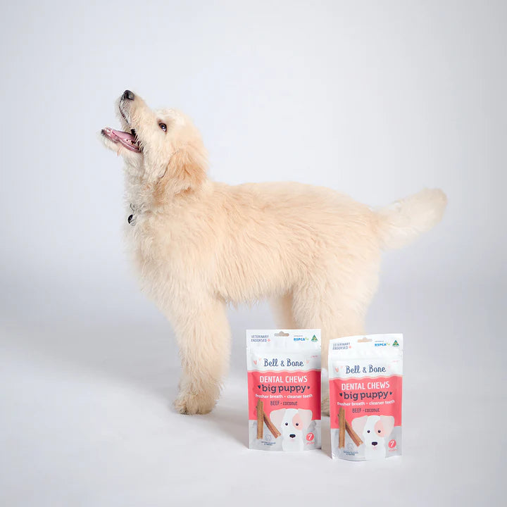 Bell & Bone - Big Puppy Dental Chews - Beef 120g