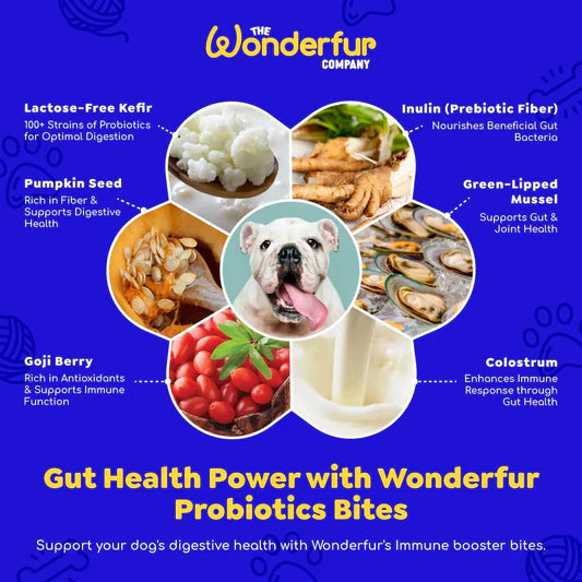 Wonderfur Bites Immune Booster for Dogs 50g