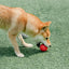 PIDAN Dog Toy Ball - Wave - Red