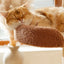 Ona's Cottage Multi-Tier Cat Tree with Cat Scratching Posts